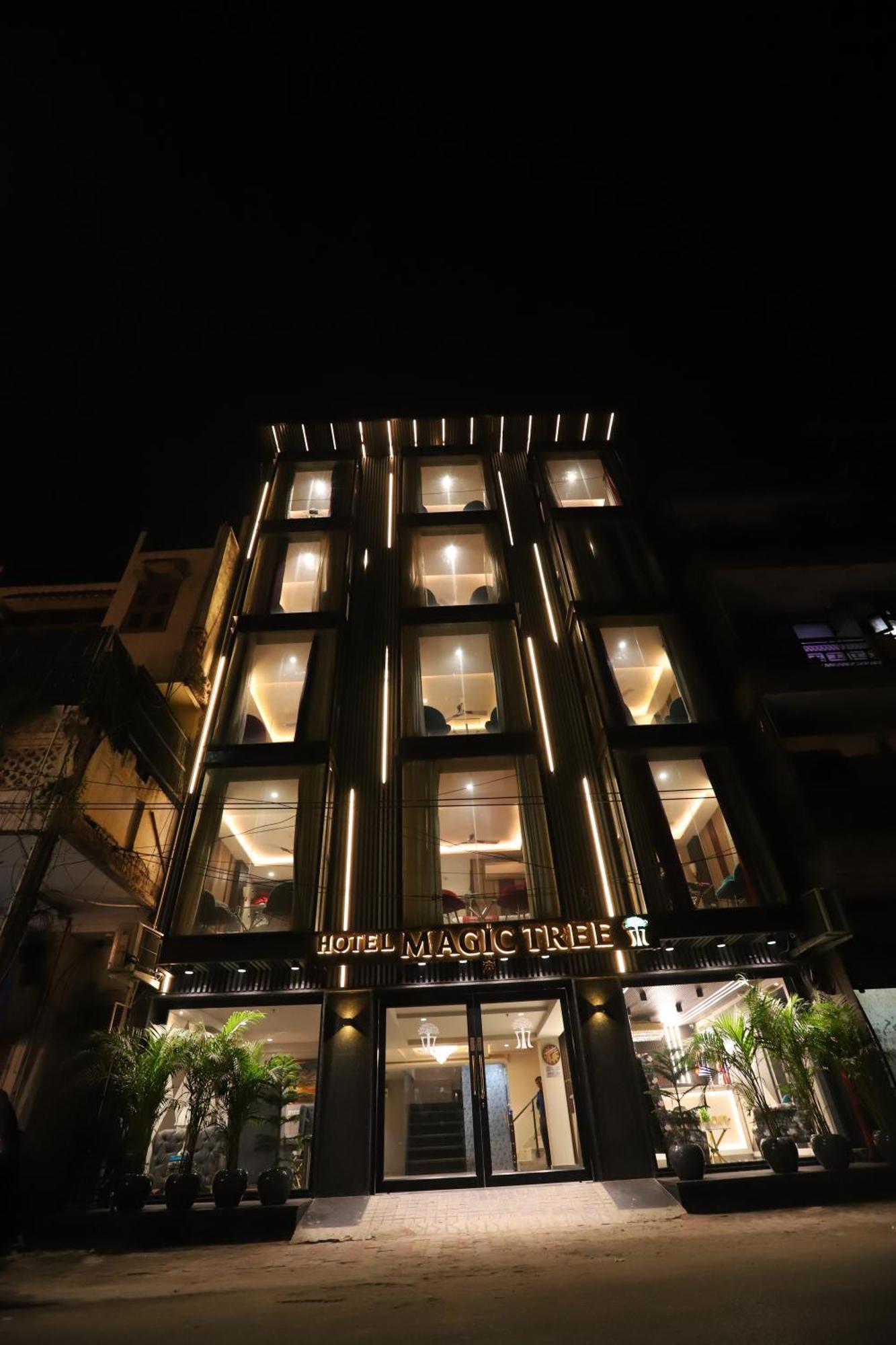 Hotel The Magic Tree - Paharganj